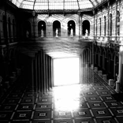 Timber Timbre : Medicinals